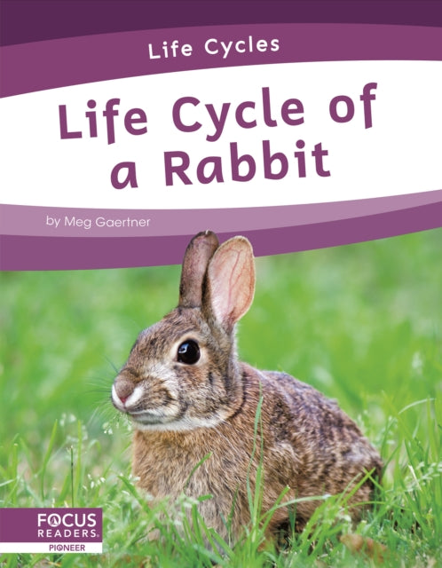 Life Cycle of a Rabbit-9781644938775