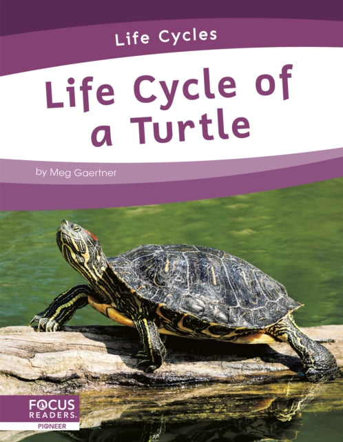 Life Cycle of a Turtle-9781644938799