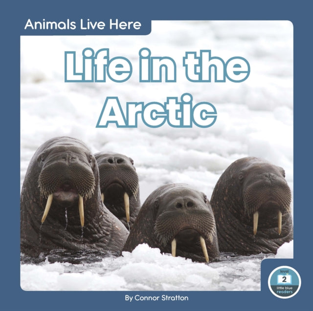 Life in the Arctic-9781646190584