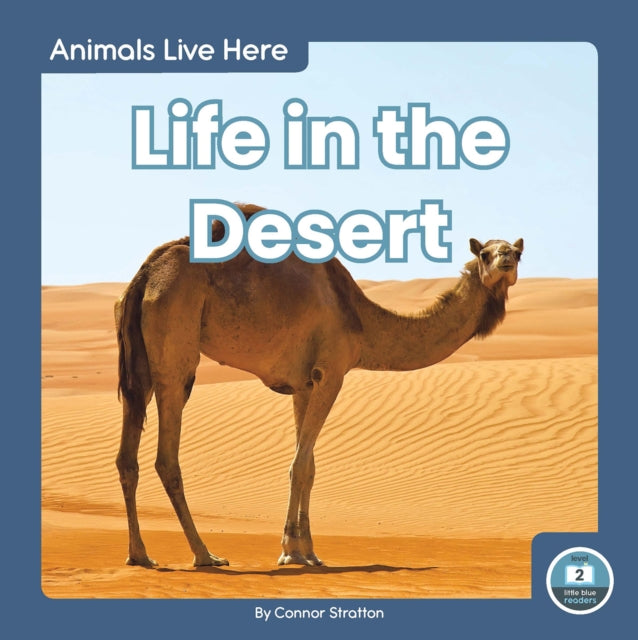 Life in the Desert-9781646190591