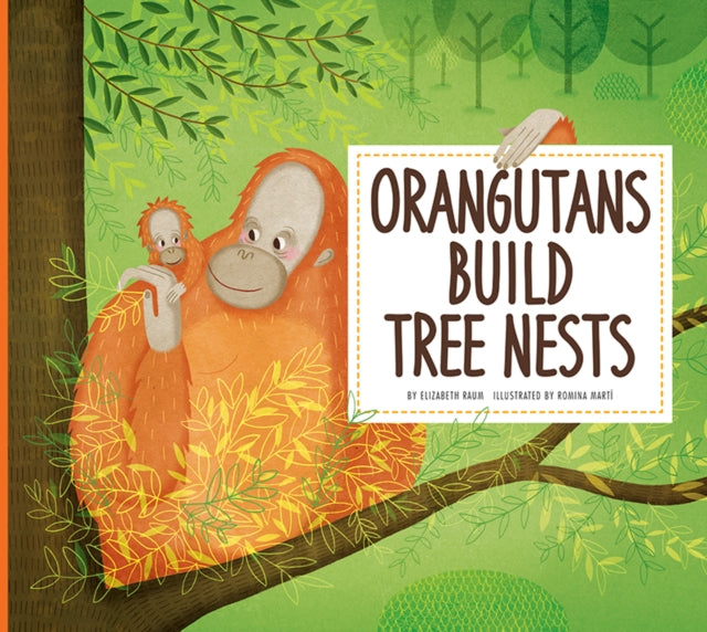 Orangutans Build Tree Nests : Animal Builders-9781681521534