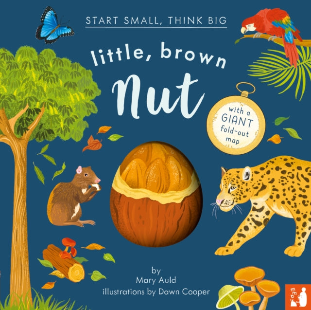 Little, Brown Nut : A fact-filled picture book about the life cycle of the Brazil nut tree, with fold-out map of the Amazon rainforest (ages 4-8)-9781739774882