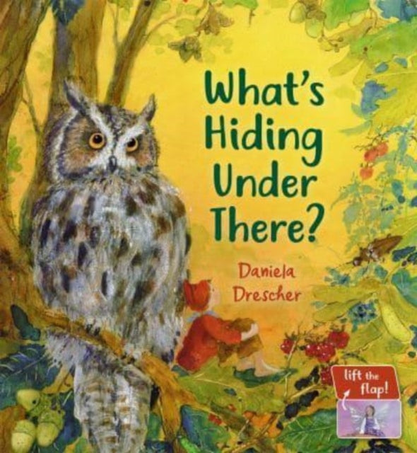 What's Hiding Under There? : A Magical Lift-the-Flap Book 9781782508571