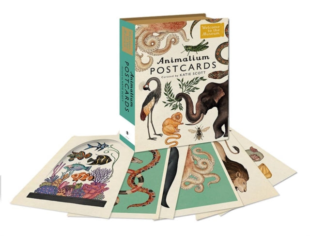 Animalium Postcards 9781783706259