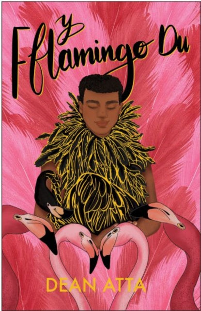 Y Fflamingo Du 9781783906000