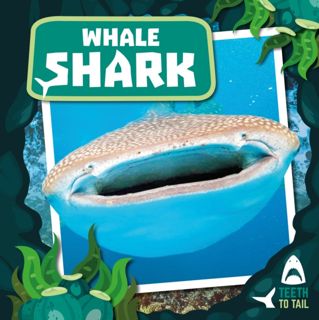 Whale Shark : Teeth to Tail-9781786376138