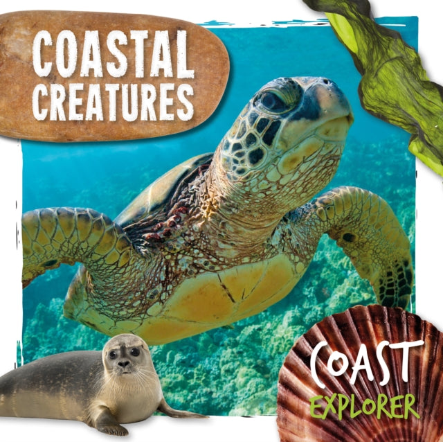 Coastal Creatures 9781786379894