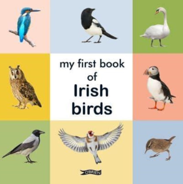 My First Book of Irish Birds 9781788494816