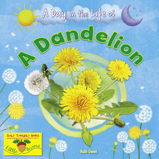 A Dandelion B2
