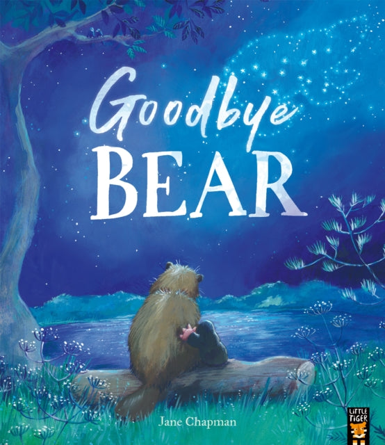 Goodbye Bear 9781801041737