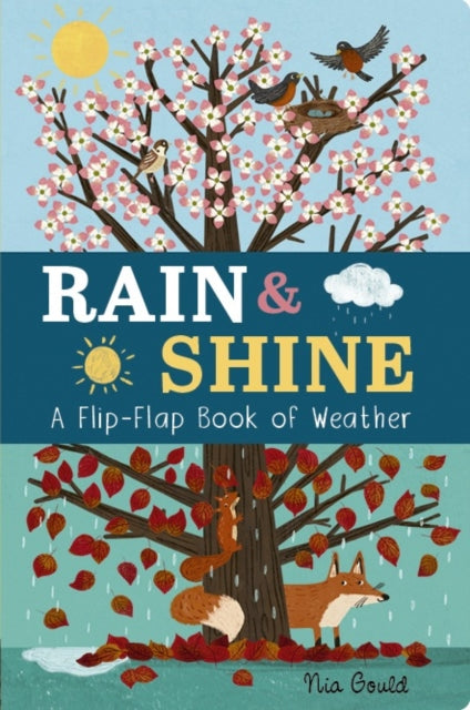 Rain & Shine: A Flip-Flap Book of Weather : A Flip-Flap Book of Weather 9781801044578