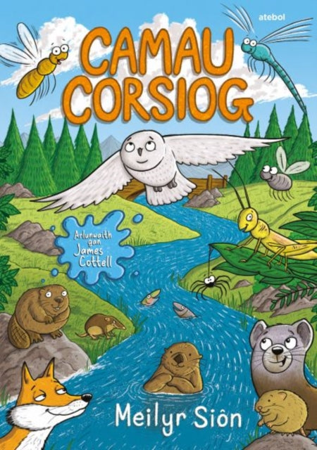 Camau Corsiog 9781801062619