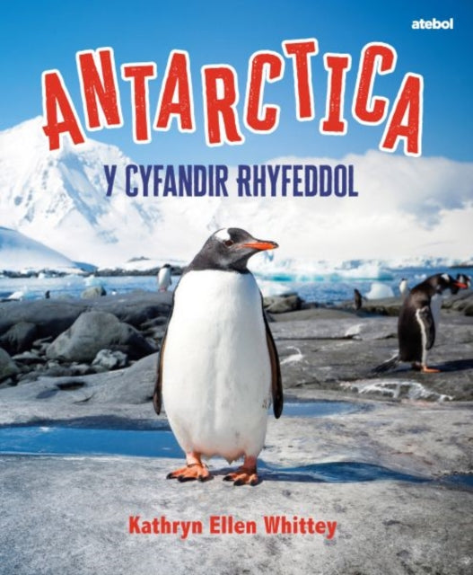 Antarctica - Y Cyfandir Rhyfeddol 9781801065351