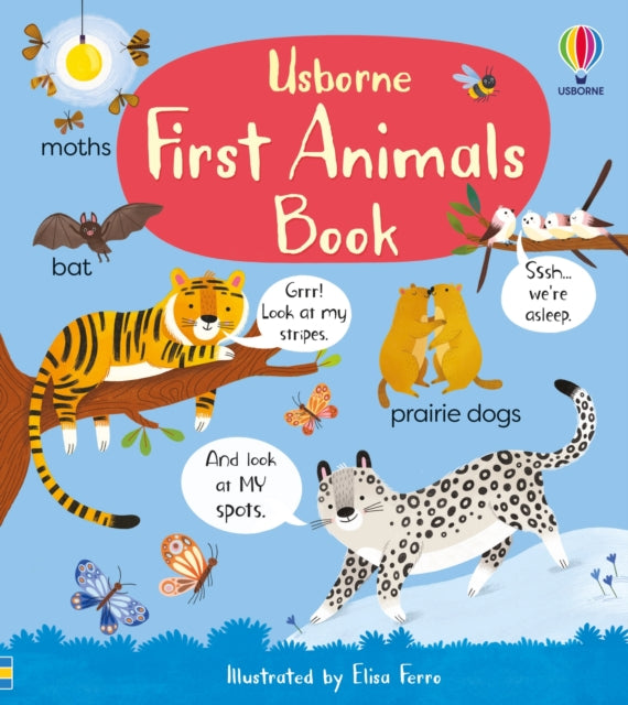 First Animals Book 9781801314763