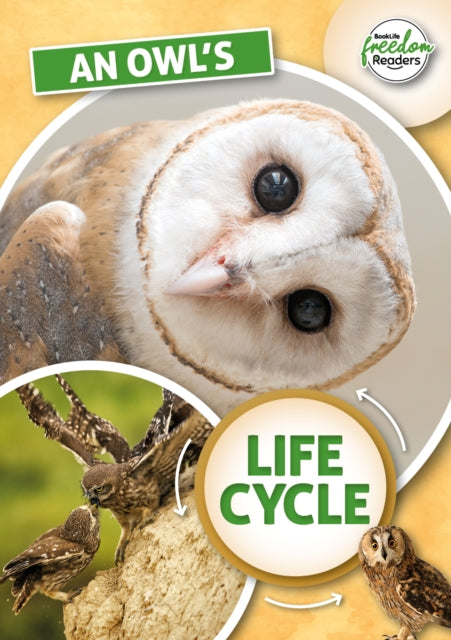 An Owl's Life Cycle-9781801551342