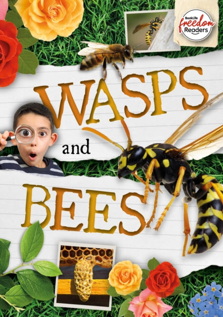 Wasps and Bees 9781801551427