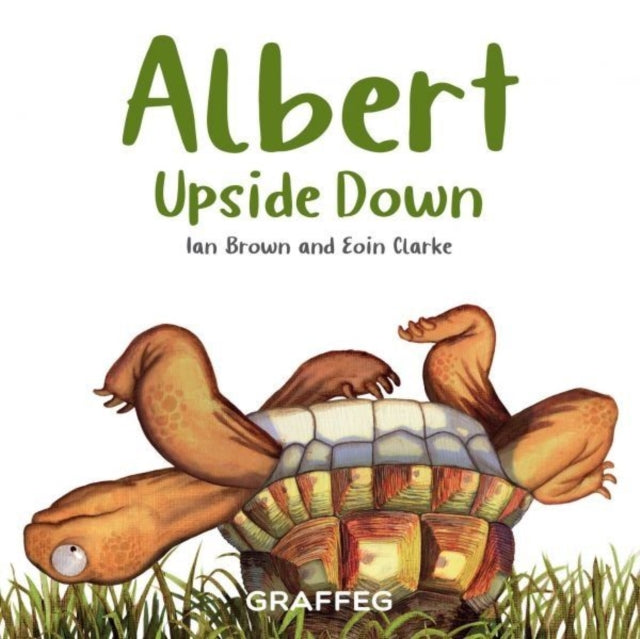Albert Upside Down 9781802586787