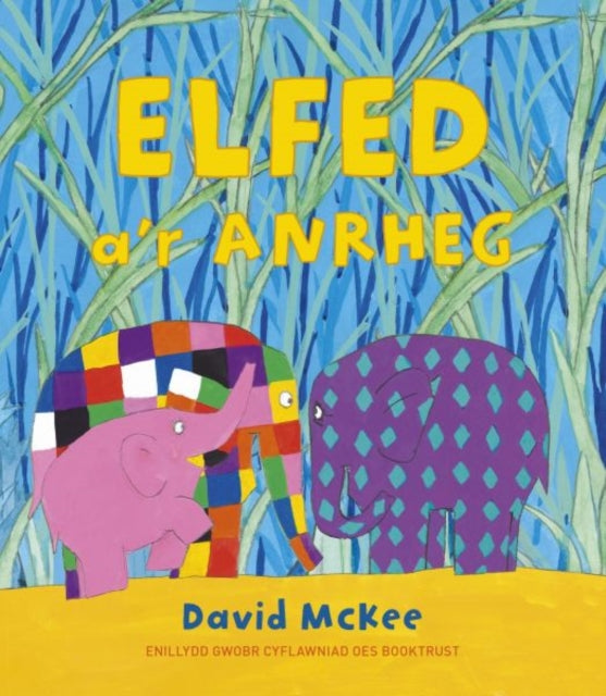 Darllen yn Well: Elfed a'r Anrheg 9781802587517