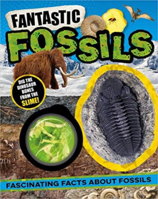Non-Fiction Books Fantastic Fossils 9781803378398