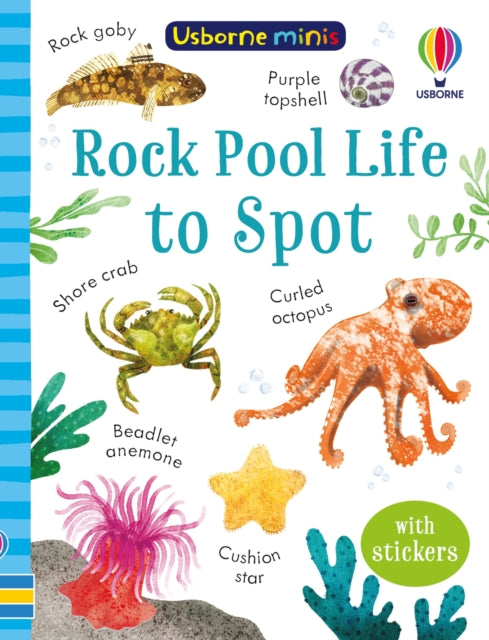 Rock Pool Life to Spot 9781803704753