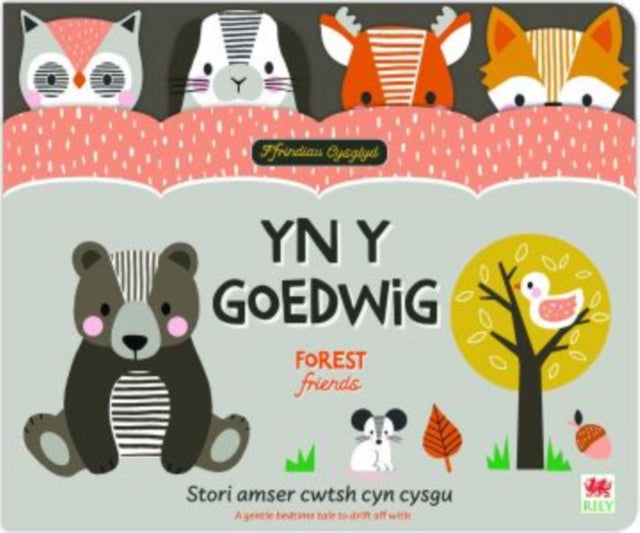 Ffrindiau Cysglyd: yn y Goedwig / Sleepyheads: Forest Friends 9781804162682