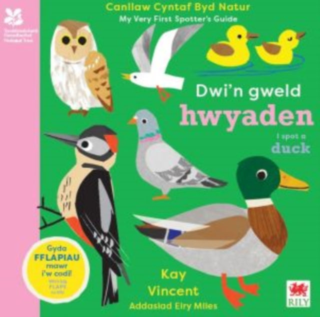 Dwi'n Gweld Hwyaden / I Spot a Duck : Canllaw Cyntaf Byd Natur / My Very First Spotter's Guide 9781804163924