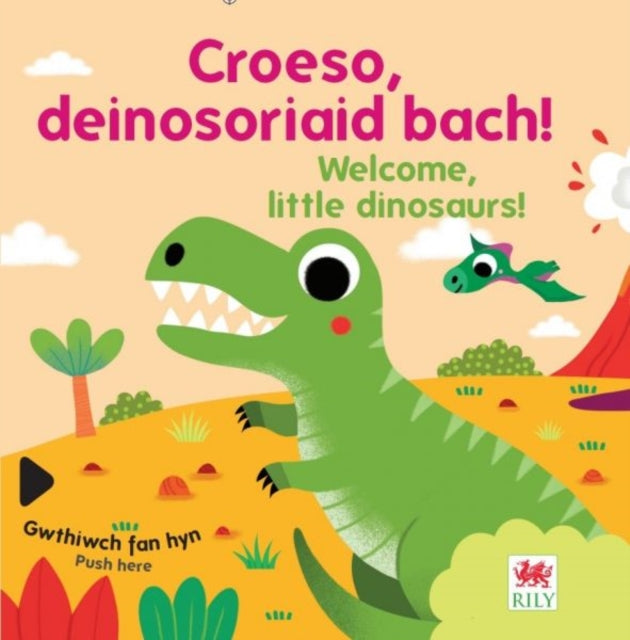 Croeso, deinosoriaid bach! / Welcome, little dinosaurs! 9781804164266