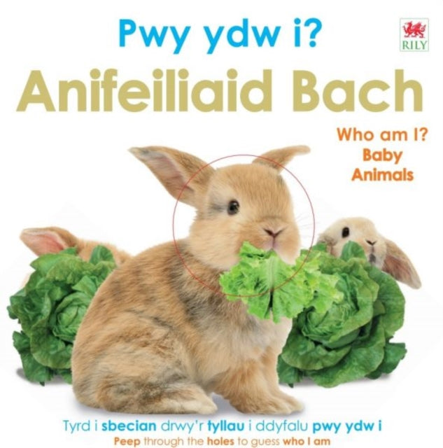 Pwy Ydw i? Anifeiliaid Bach / Who Am I? Baby Animals 9781804164327