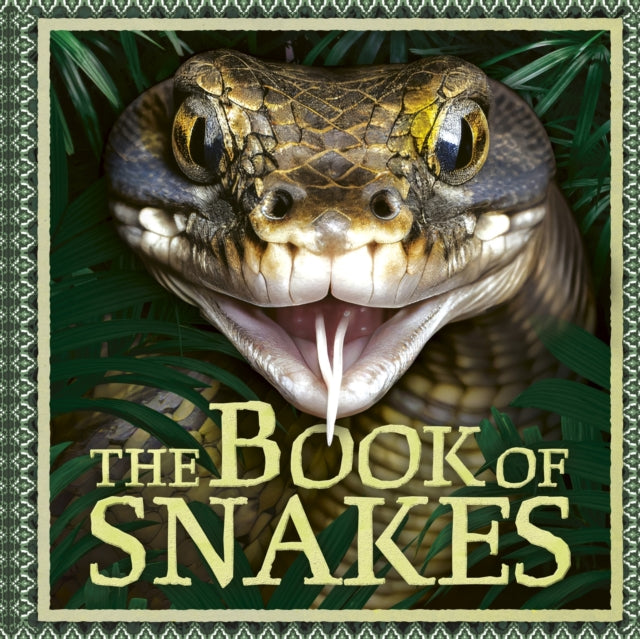 The Book of Snakes 9781804538333