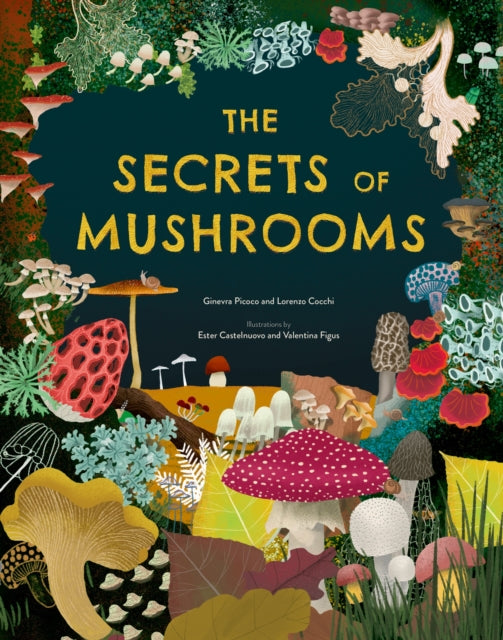 The Secrets of Mushrooms 9781804538739