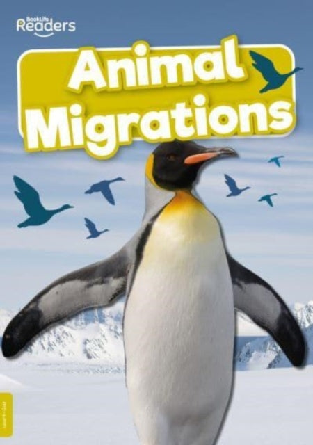 Animal Migrations-9781805050544
