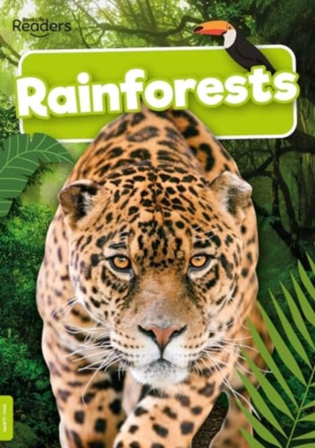 Rainforests-9781805050766
