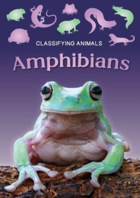 Amphibians-9781805053835