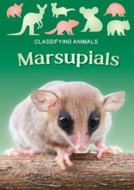 Marsupials 9781805053859