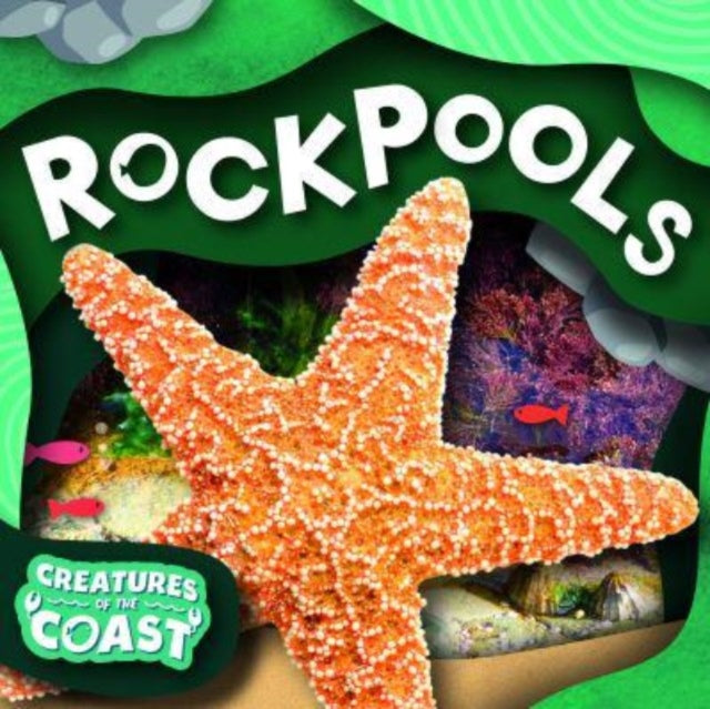 Rockpools 9781805053897