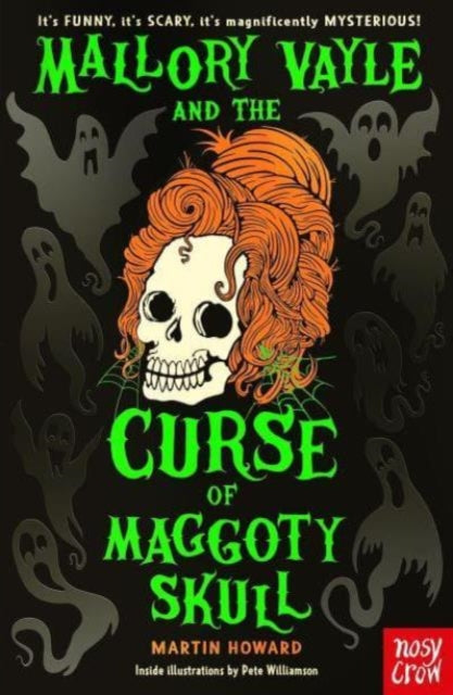 Mallory Vayle and the Curse of Maggoty Skull 9781805132257