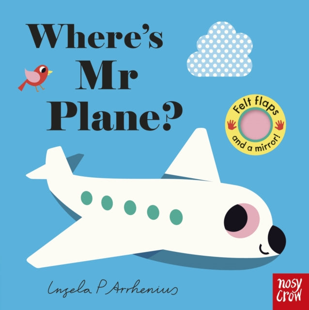 Where's Mr Plane? 9781805136101