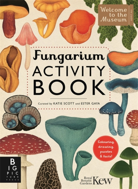 Fungarium Activity Book 9781835870648
