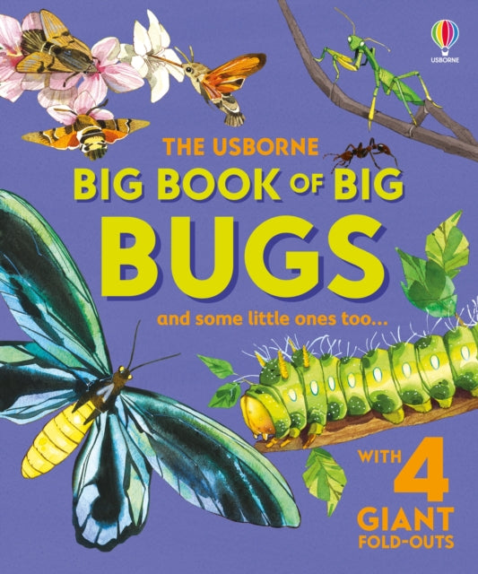 Big Book of Big Bugs 9781836040255