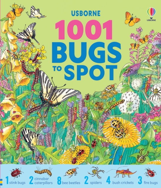 1001 Bugs to Spot 9781836041931