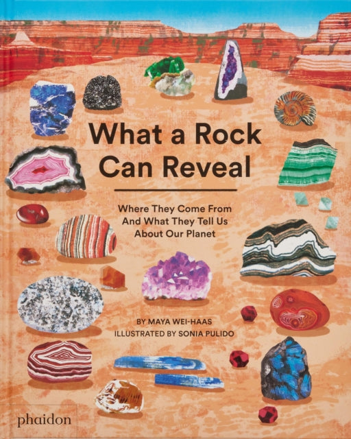 What a Rock Can Reveal : Where They Come From And What They Tell Us About Our Planet-9781838667894