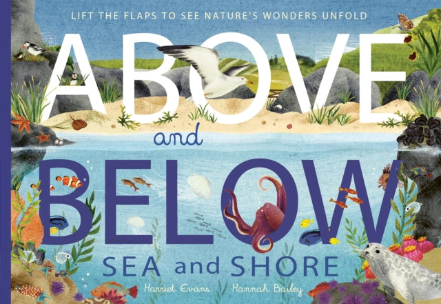 Above and Below: Sea and Shore : Lift the flaps to see nature's wonders unfold 9781838915056