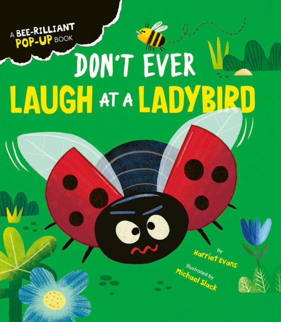 Don't Ever Laugh at a Ladybird 9781838916015