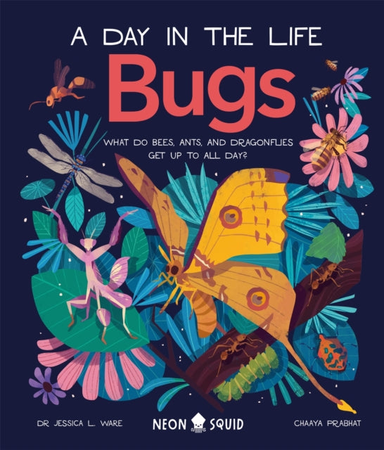 Bugs (A Day in the Life) : What Do Bees, Ants, and Dragonflies Get up to All Day? 9781838991555