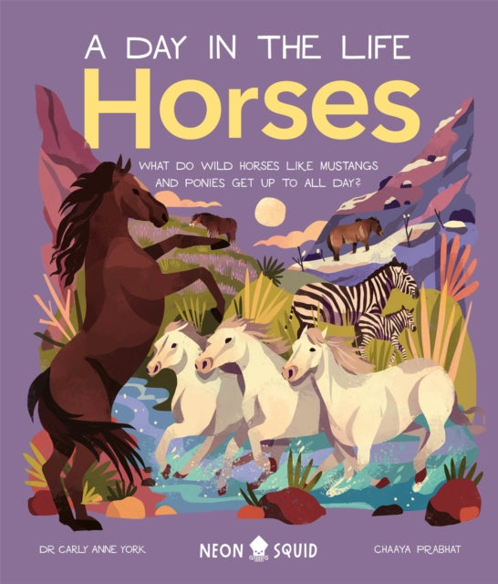 Horses (A Day in the Life) : What Do Wild Horses like Mustangs and Ponies Get Up To All Day? 9781838992309