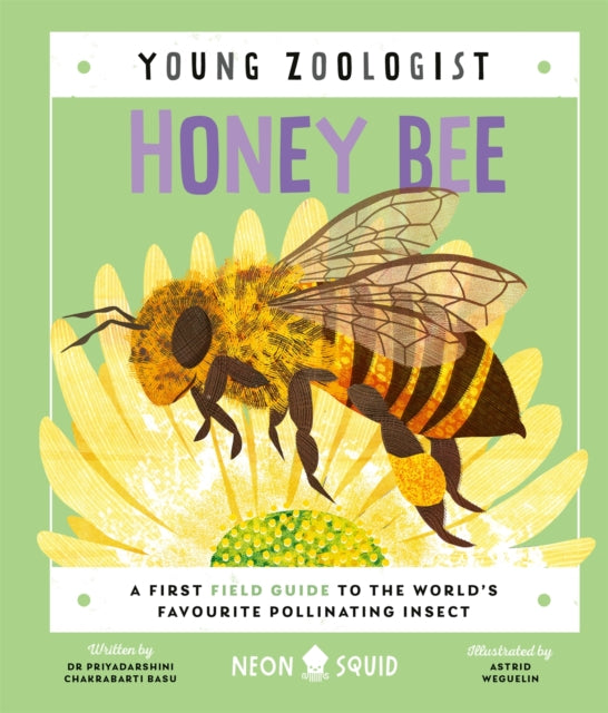 Honey Bee (Young Zoologist) : A First Field Guide to the World's Favourite Pollinating Insect 9781838992712
