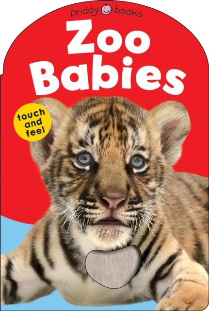 Zoo Babies 9781838992958