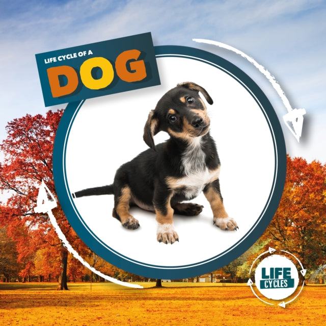 Life Cycle of a Dog-9781839274749