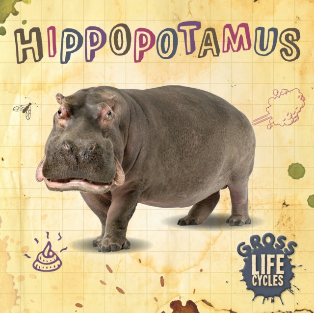 Hippopotamus-9781839274794