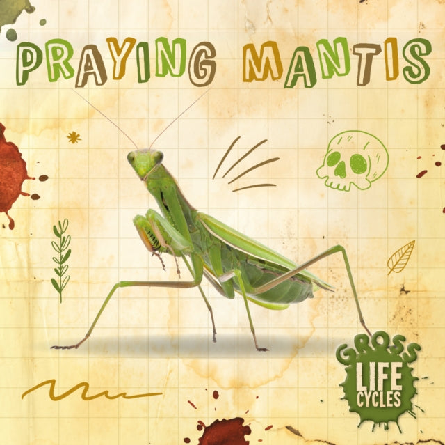 Praying Mantis 9781839274817